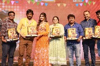Dhamaka 100 Crore Massive Festival Celebrations